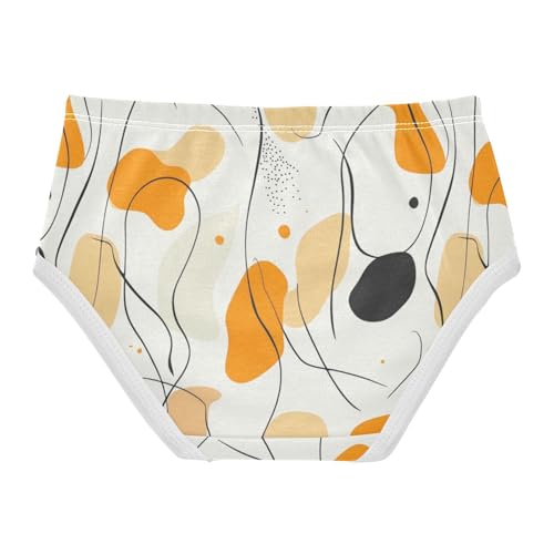 ZZKKO Abstract Line Art Girls Underwear Toddler Panties for Girls Comfort Brief Size 2-8T2