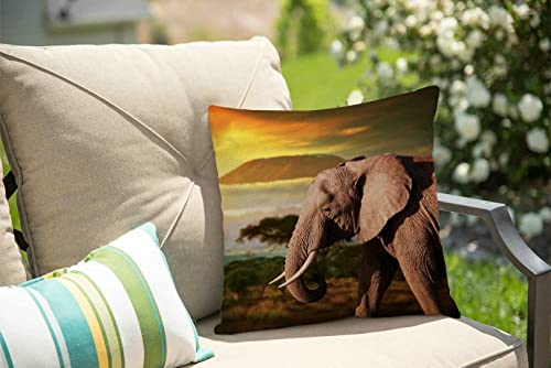African Elephant On The Prairie Rustic Farmhouse Style Decorative Throw Pillow Cover Cushion Case For Sofa Couch Housewarming Gift Home Decor Cotton Linen 18" X 18" Inch #TOP2
