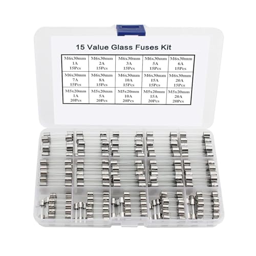 LJISEHG Kit de 250 fusibles de tubo de vidrio - Surtido de fusibles de acción rápida de 15 valores, ideal for protección de circuitos y reparaciones eléctricas.