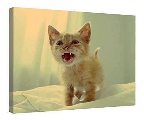 Cuadro en lienzo de madera con relieve Angry or Hungry enmarcado listo para colgar de 16x20"