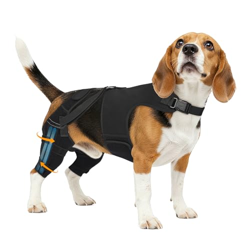 Marnonsis Dog Knee Braces for Back Leg