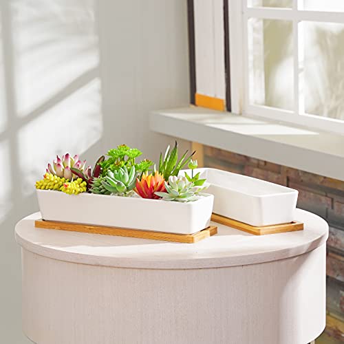 Fengson White Succulent Planter Pots,11 Inch Long Rectangle Ceramic Plant Container With Bamboo Saucers And Drainage Holes,Mini Flower Cactus Pot Indoor Outdoor Home Garden Kitchen Decor,2 Pack #TOP4