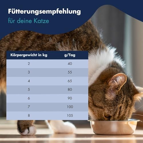 High Premium Adult Grainfree Beutel 4kg