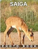 saiga antilope verbreitung  Saiga Photobook: Wildlife Animal Portrait Picture Book to Decoration Living Room, Bedroom, Office  40 Picture Pages for Kids, Teens  Anxiety Relief  Birthday  Creatives