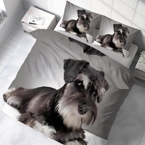 zcJo[Zbg _u 3_Z q QJo[ZbgzcJo[|GXe100 DG _炩 ʋC ^Cvh_jlGʗp(210x210cm)2 Jo[(43x63cm)