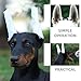 Toddmomy Doberman Dog Ear Posting Kit, Dog Ear Stand Up Support Tool with Tape and 2 Vertical Dog Ear Fixed Correction Sticks for Doberman Pinscher Dogs Puppy