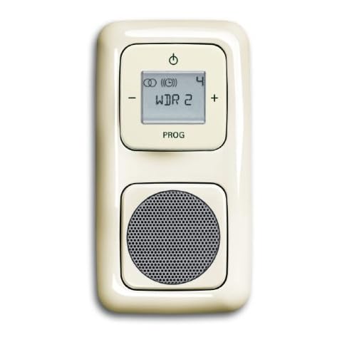 Radio digital empotrada Busch-Jaeger Cover