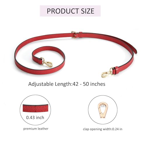 Image of Crossbody Strap Compatible for Longchamp LP Xtra XS Pouch, Conversion Kit,GOLD Hardware