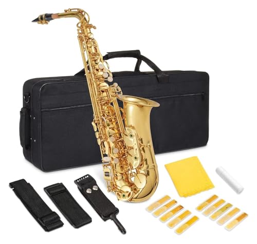 プロフェッショナルサックス プロの練習用ブラスサックスセット Eフラット