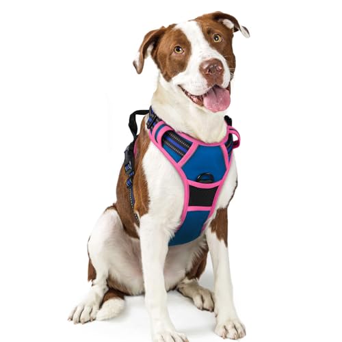 Image of rabbitgoo Dog Harness No Pull with 2 Leash Clips, Adjustable Soft Padded, Reflective Oxford No Choke Pet Vest with Easy Control Handle for Large Dogs, Blue & Hot Pink, L