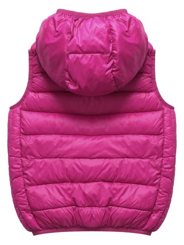 Boys Girls Kids Hooded Puffer Vest Coat Winter Warm Down Waistcoat Sleeveless Outwear Front Zip Up Jacket4
