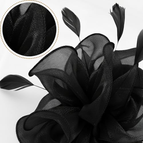 Image of DRESHOW Fascinators Hat Tea Party Headwear Ribbons Feathers on a Headband and a Clip for Women