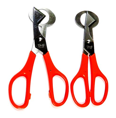 痑ipjvb`2giIWFjXeX {