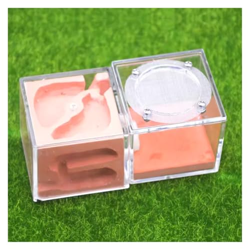 EYRMQWJPC Ameisenburg Terrarium Acryl Ant Castle