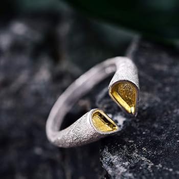 ChicSilver