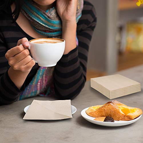 200 Recycled Post Consumer Napkins, Quality 2-Ply Compostable Unbleached Eco Cocktail Napkins, Disposable Beverage Dessert Napkins For Wedding Holiday Party Graduation Christmas #TOP5