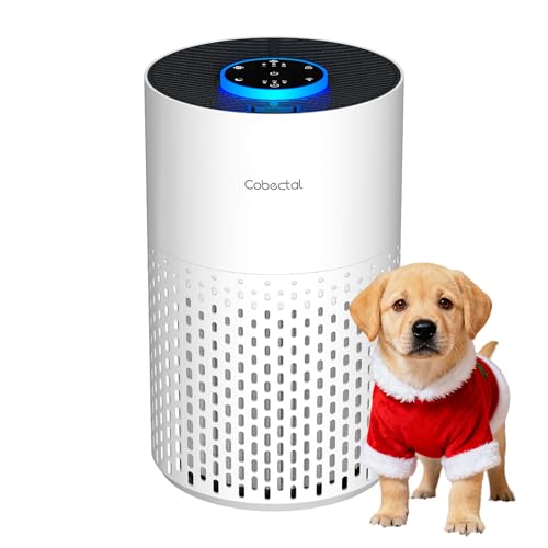 Cobectal Air Purifier with HEPA Filter, Aroma, Sleep Mode