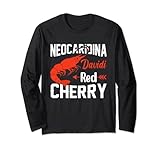 Neocaridina Davidi Red Cherry Lobster Sea Ocean