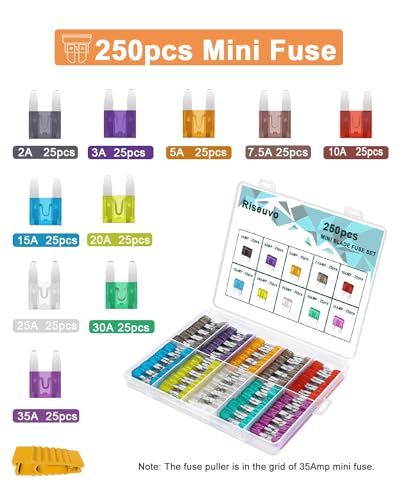 Riseuvo R-20190801-240M 250 Pcs Mini Blade Fuse Assortment thumb #4