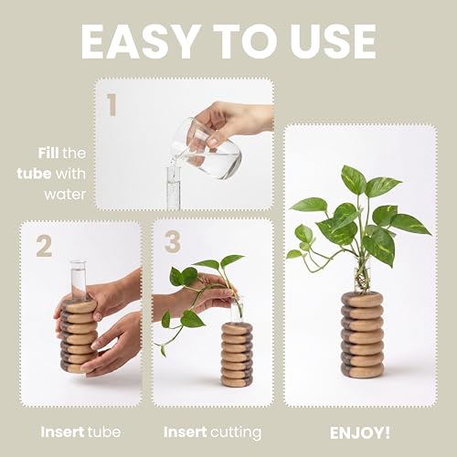 Image of Pilwal's Handcrafted Wooden Flower Vase & Test Tube Planter - Unique Minimalist Wooden Planter for Home 25mm Glass Tube Vase for Plants, Cuttings - Office Desk & Living Room Decor (7 Steps Design)