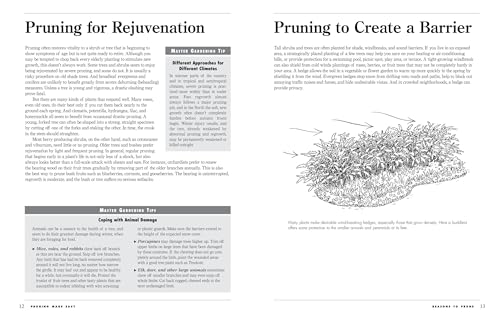 Pruning Made Easy: A Gardener's Visual Guide to When and How to Prune Everything, from Flowers to Trees (Storey's Gardening Skills Illustrated Series) - Image 2