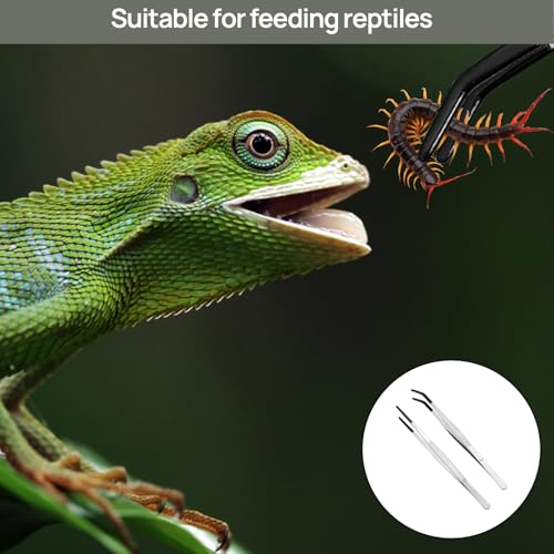 BOULESENM 2 PCS Lange Pinzette Edelstahl,Reptile Tongs Futterzange mit Gummispitze Gerade,Stainless Steel Reptile Feeding Tongs with Rubber Tip,Fütterungspinzette für Reptilien,Aquarium-Pinzette