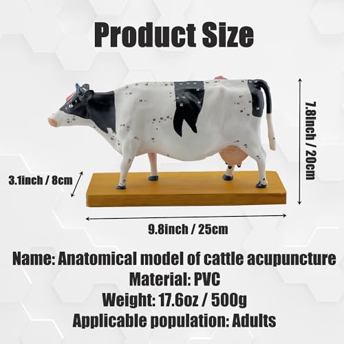 Modèle d'acupuncture en PVC résistant pour retenir les 68 points - 6