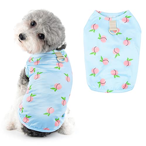 Ranphy Fruit Printed Dog Vest for Small Girls Puppy Sleeveless with D-Ring Clothing Small Cat Apparel Summer Spring Dog T-Shirt, Blue, M