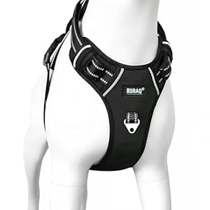 BURAQ Dog Harness, No Pull Dog Belt, Reflective Dog Vest Oxford Fabric, Soft Padded Easy Control Dog Chest Belt, No More Pulling Or Choking, For Large Medium Small Dogs – Black
