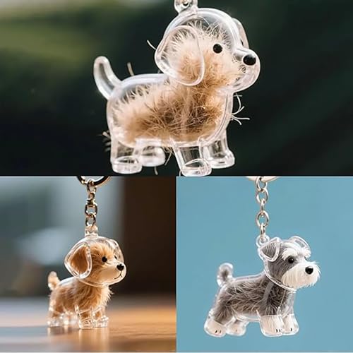 Souvenir commémoratif pour poils d'animaux, le porte-clés qui garde votre chat près de votre cœur
