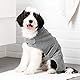 Navaris Hundebademantel Hundehandtuch - Handtuch für Hund mittelgroß - Träger verstellbar mit Klettverschluss - Hunde Bademantel weich bequem
