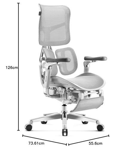 Brave V-Kinetic Sedia da ufficio Poltrona da Scrivania Ergonomica con Poggiapiedi Braccioli 5D Rete Supporto lombare Sedile regolabile Portata fino a 120 kg Grigio - Sedia gaming - Immagine 2