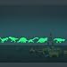 ufengke® 9-pcs Dinosaurs Wall Decals Fluorescence Stickers Glow in The Dark, Children's Room Nursery Removable Wall Stickers Murals