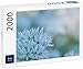 Produktbild Lais Puzzle Bärlauch 2000 Teile