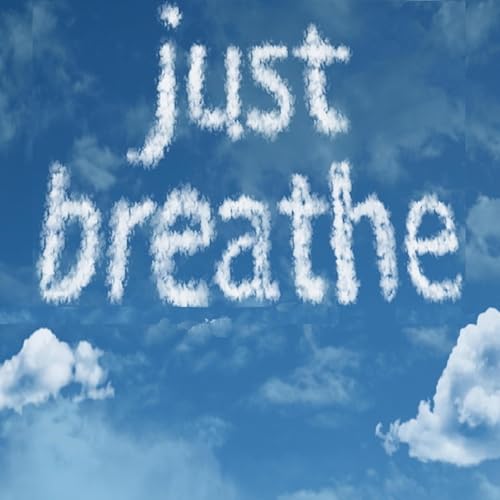 Couverture de Guided Mindful Meditations for Stressful Times