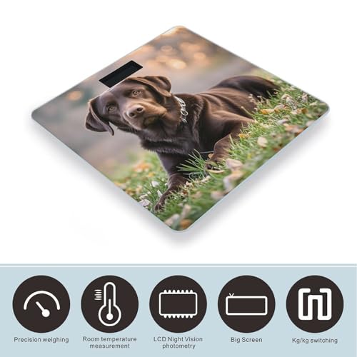 Báscula digital de baño con vidrio templado y LCD miniatura 3