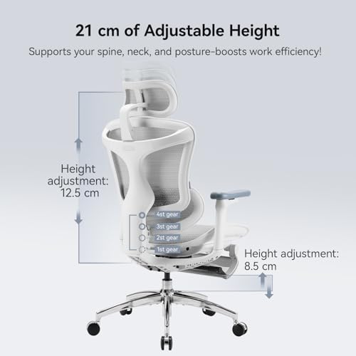Image of SIHOO Doro C300 Ergonomic Office Chair with Footrest, Soft 3D Armrests