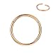 20g Cartilage Earring Hoop Rose Gold Nose Ring Nose Rings 20 Gauge Helix Hoop Earring Forward Helix Earring Daith Earrings Tragus Earrings Surgical Steel Hoop Earrings 7mm Nose Hoop Piercing Jewelry