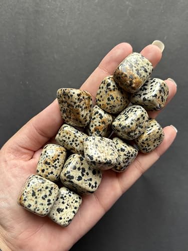 Image of Tumbled Stones, Natural Crystal Healing Stones, Home Office Decor, Aquarium Decorative Pebbles, Vase Fillers (Dalmation Jasper, 100)