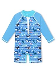 Blue & Multicolor | Shark