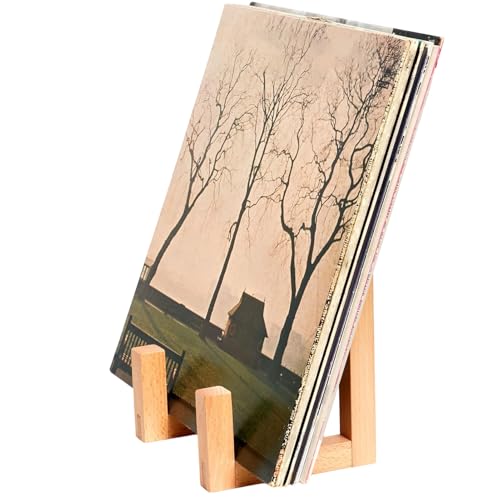 Soporte para discos en el dormitorio: estante clásico de madera para música 2