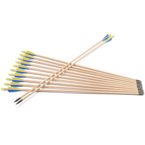 TY Archery 12 Stück Holzpfeile Pfeile Holzpfeil Recurvebogen Sportbogen Bogenschiessen 30 Zoll TY Archery 12 Stück Holzpfeile Pfeile Holzpfeil Recurvebogen Sportbogen Bogenschiessen 30 Zoll