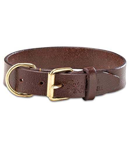 Jack & Russell Collare per Cani in Pelle Premium