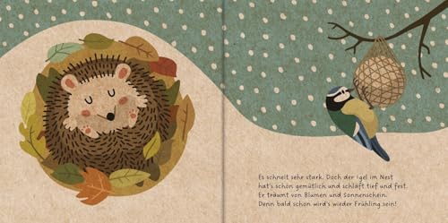 Meine Gartenfreunde. Der kleine Igel: Pappbilderbuch über heimische Tiere für die Kleinsten