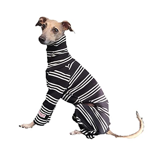 [D DOGGY STAR] C^O {[_[p[X Ȃ ݌ɐ؂ Z[  pW} C^A O[nEh xhgeA EBybg (3XL, ubN)
