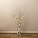 クリスマスツリー 白樺 ブランチツリー LED 80cm  北欧 おしゃれ ウェルカムツリー christmas tree ライト