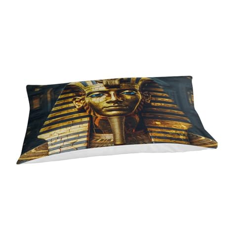 Housse de couette pharaon 135x200 microhypoallergénique