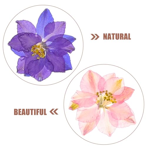 Mezcla de Flores Secas Artesanales 27 Piezas Kit DIY miniatura 5