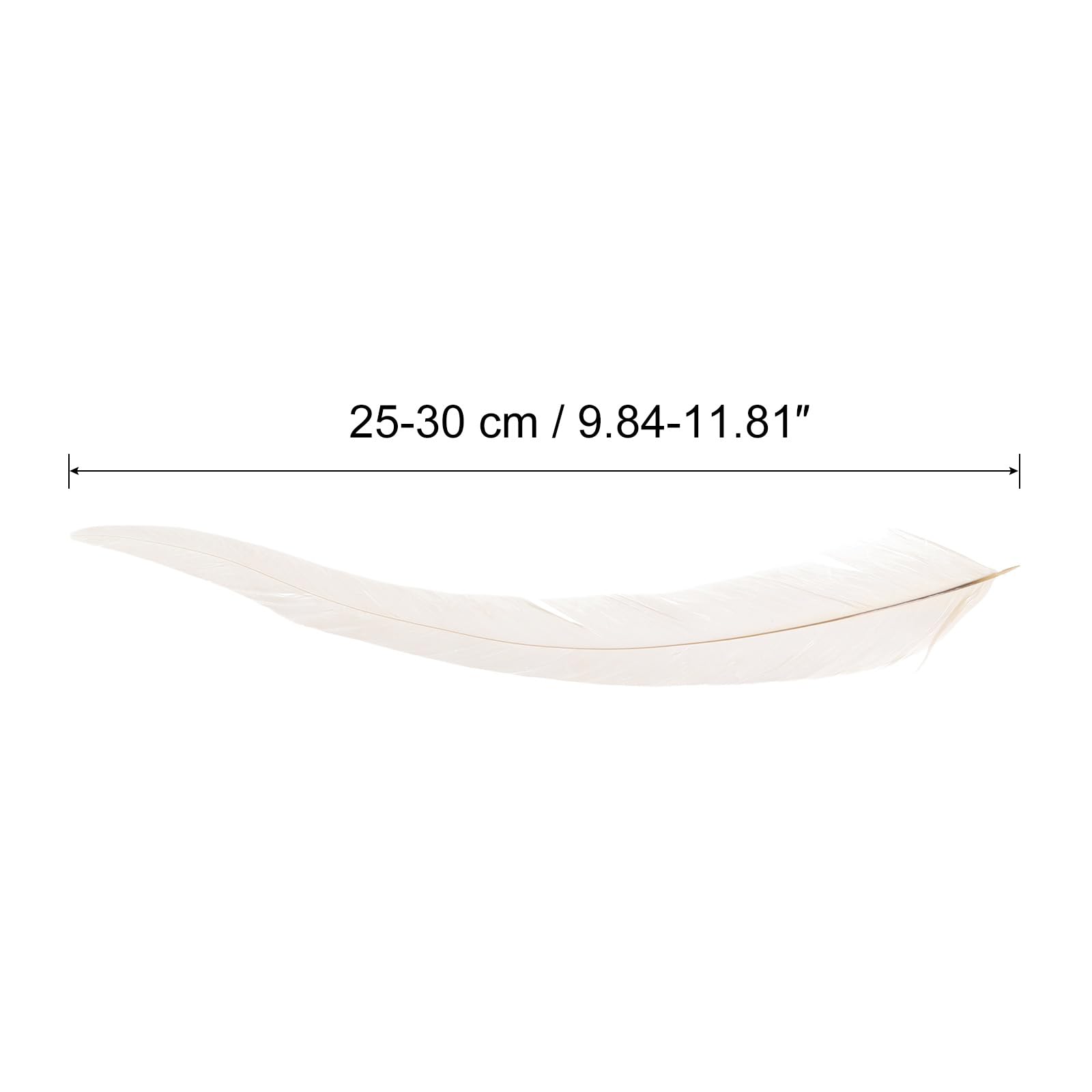 50 Piume Naturali Di Gallo 25-30 Cm - Per Artigianato, Costumi E Decorazioni - Foto 5