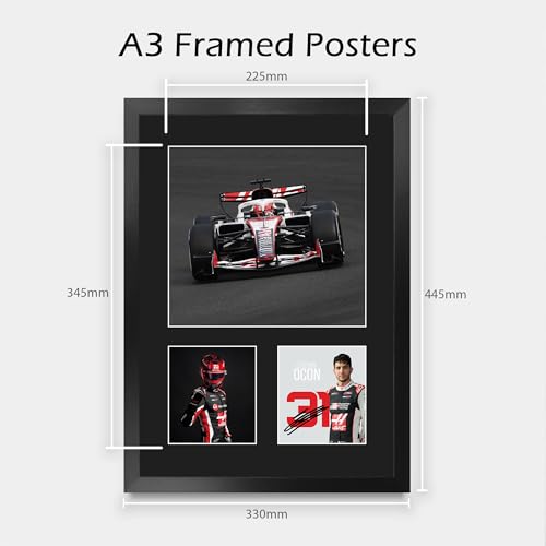 Cuadro de Esteban Ocon Haas F1 A3: autógrafo impreso sin dañar el póster 2